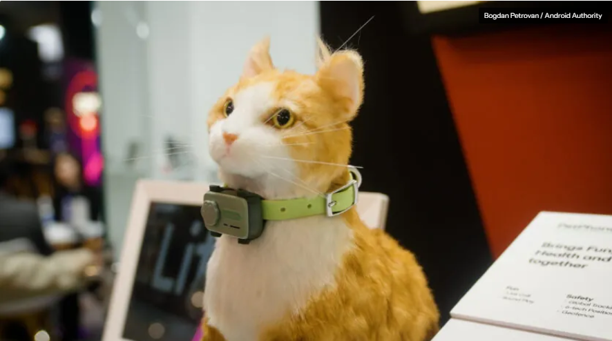 The world’s first ‘smartphone for pets’ launched